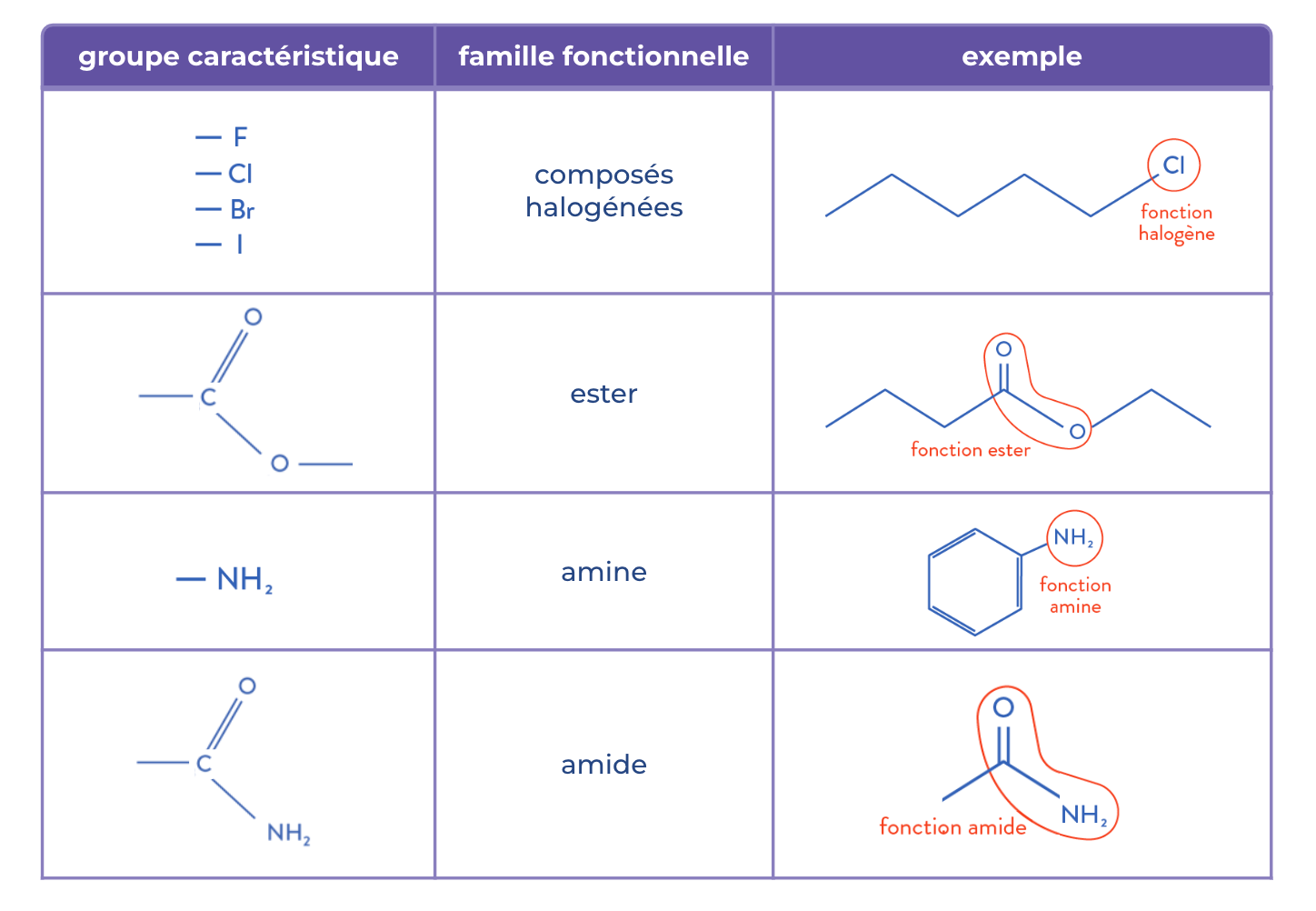 Quels Sont Les Diff rents Types D Amides SSCPQ
